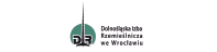 Logotyp Dolnośląska Izba Rzemieślnicza
