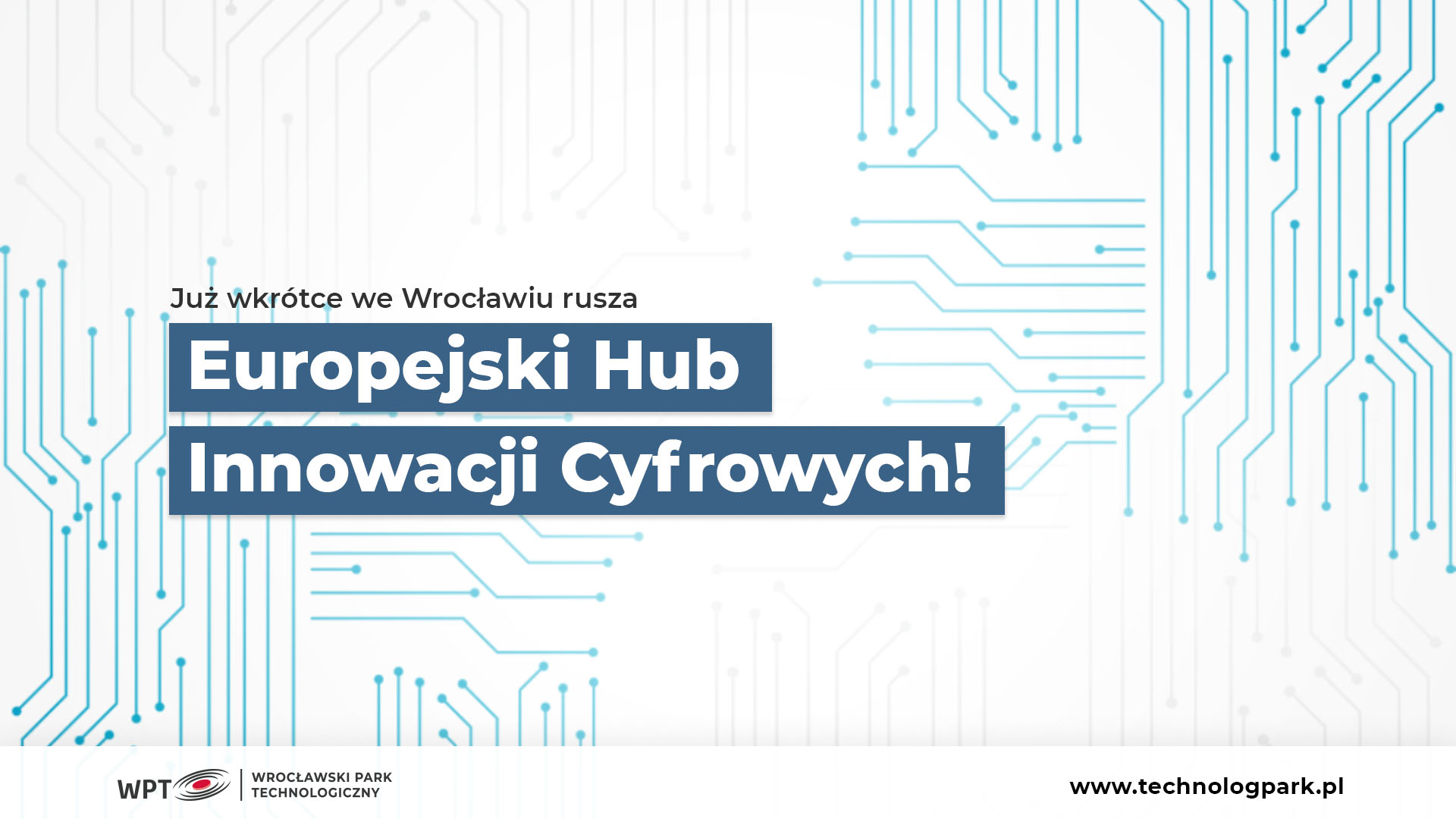 Cyfrowy rozwój firmy na wyciągnięcie ręki – niebawem rusza wrocławski EDIH!