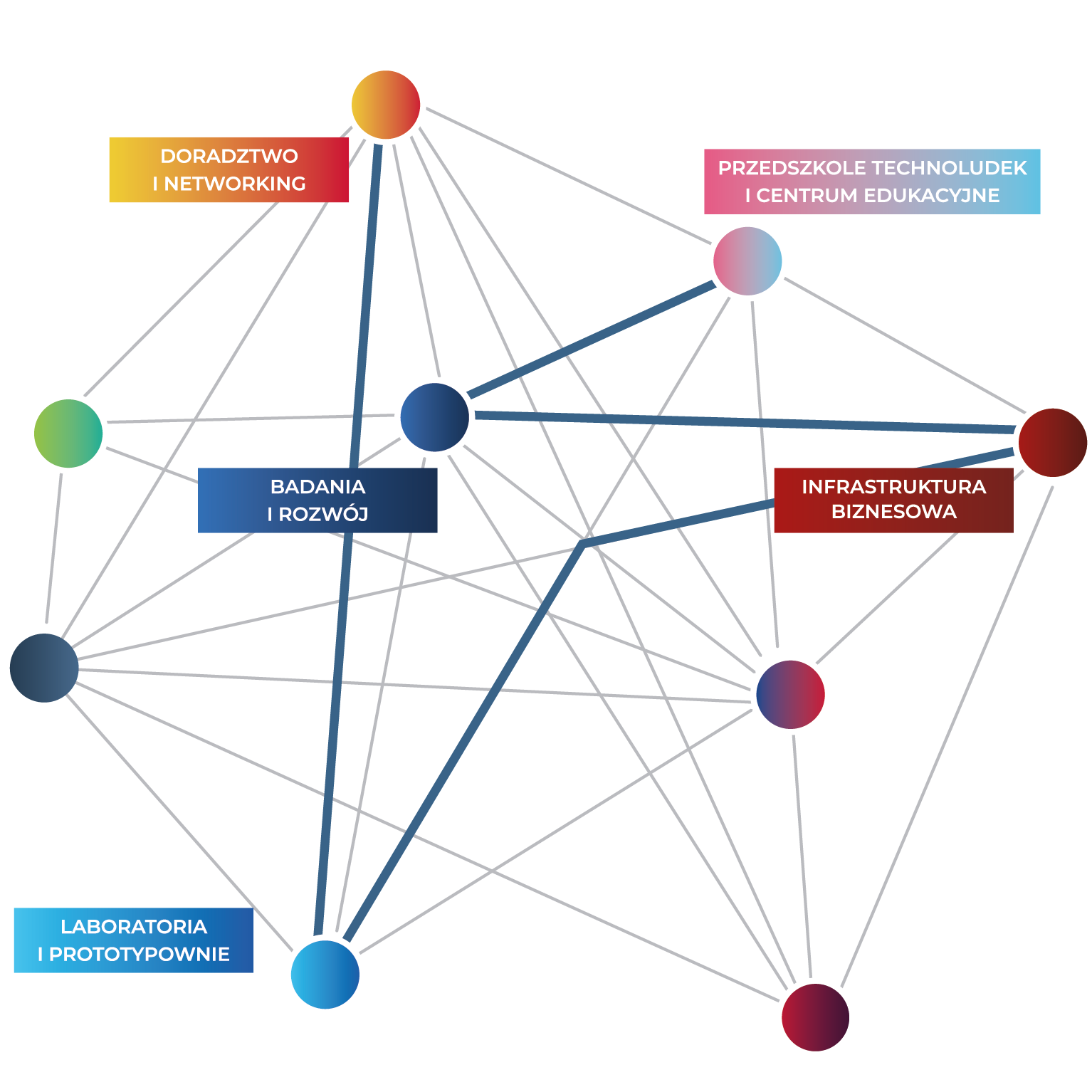 Siatka Stellar 2023 br