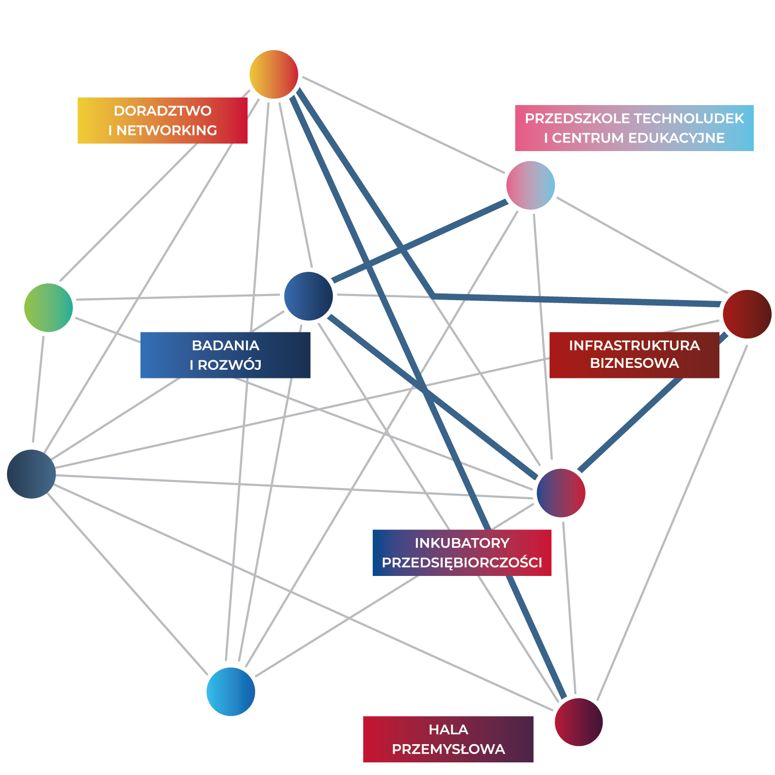 Siatka Stellar 2023 msp
