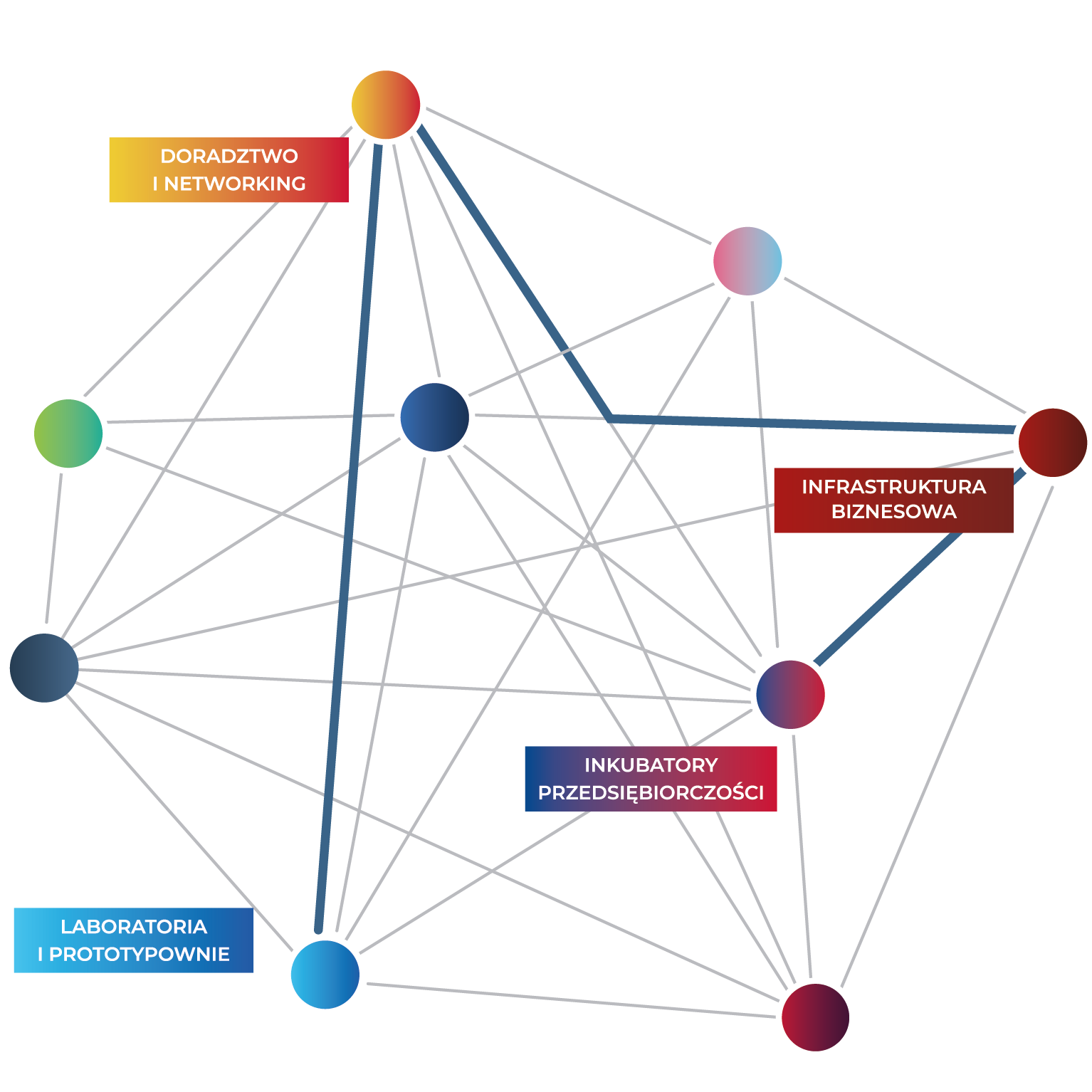 Siatka Stellar 2023 startup