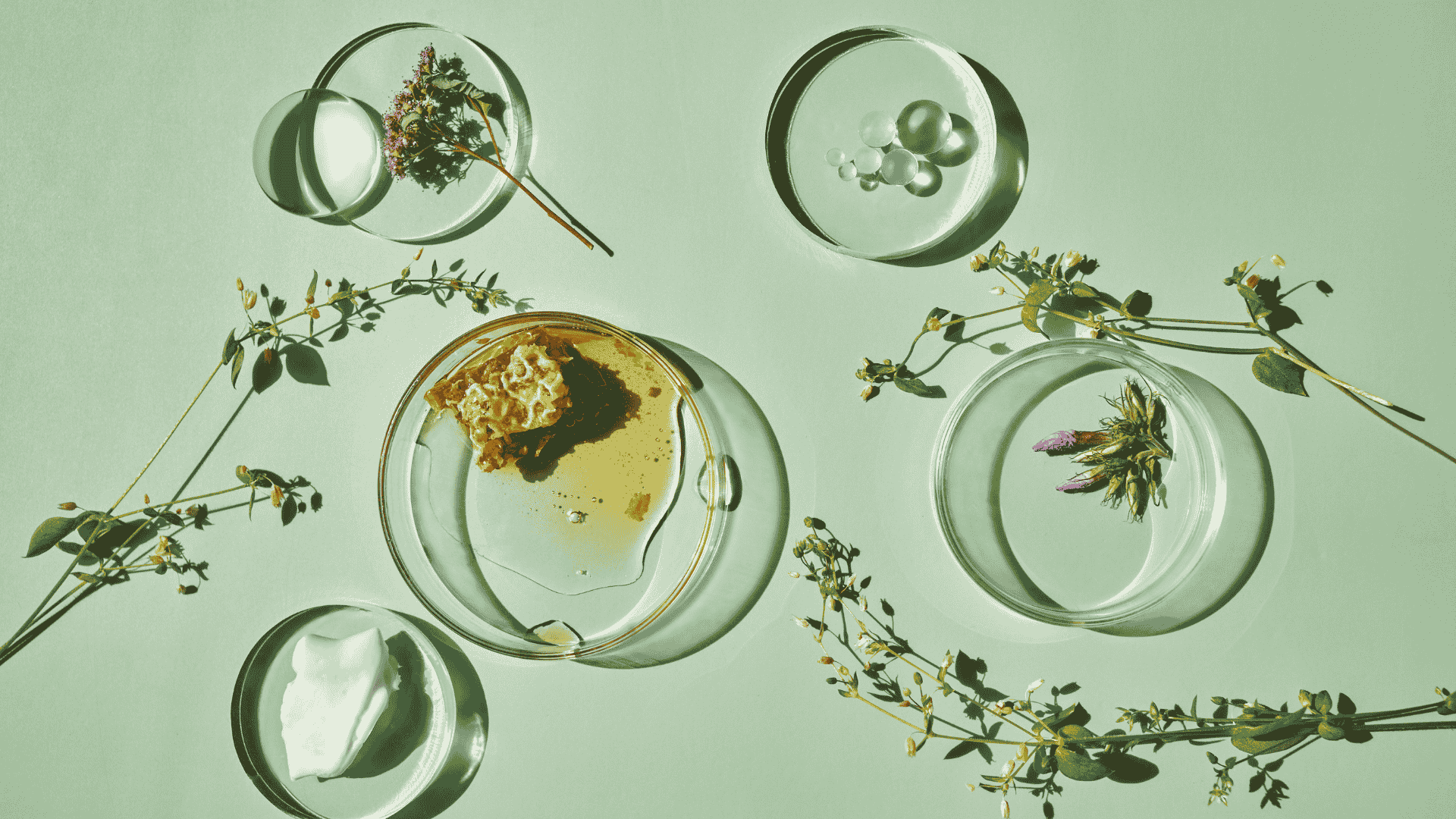 WPT oferuje pełny proces tworzenia ekstraktów roślinnych: B+R, pilotaż, linię technologiczną i wsparcie ekspertów NUTRIBIOMED. Od prototypu do produktu rynkowego.