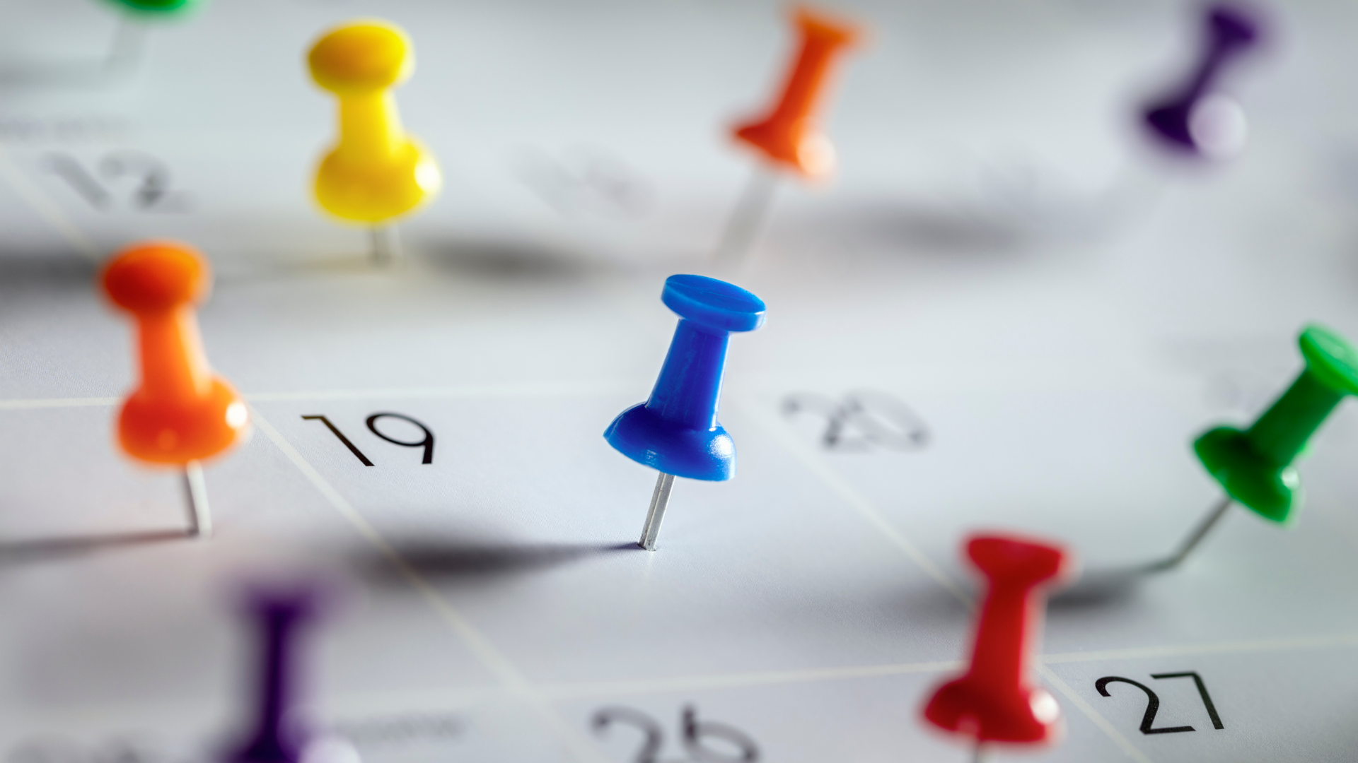 Listopad w Strefie Informacji Biznesowej WPT – poznaj wszystkie wydarzenia!