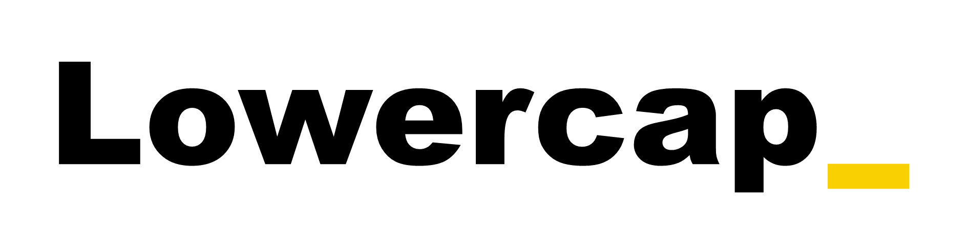 Lowercap ZASI logo wide