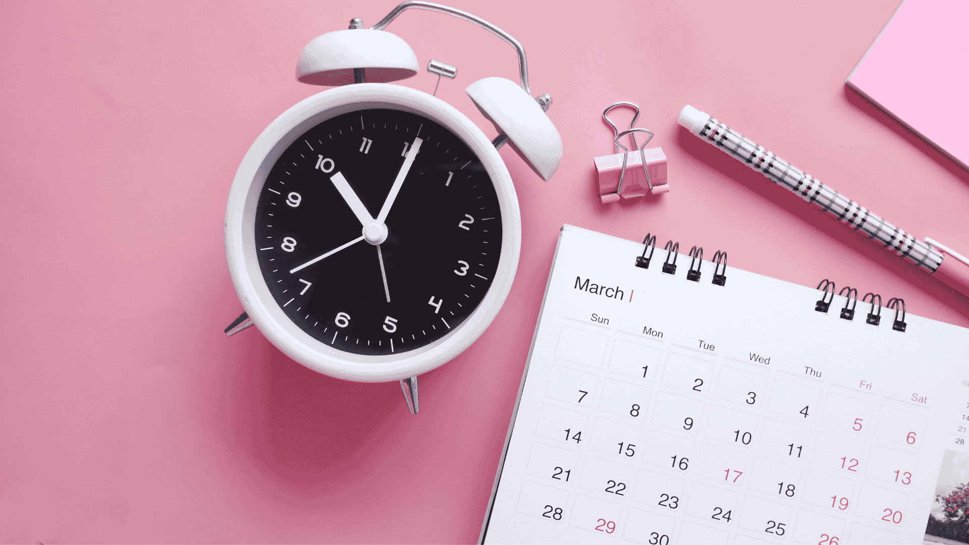 Marzec w Strefie Informacji Biznesowej WPT – finansowanie, prawo i rozwój firmy w jednym miejscu