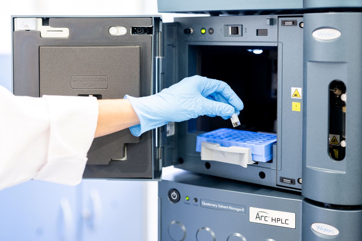 Uslugi specjalistyczne WPT 2026